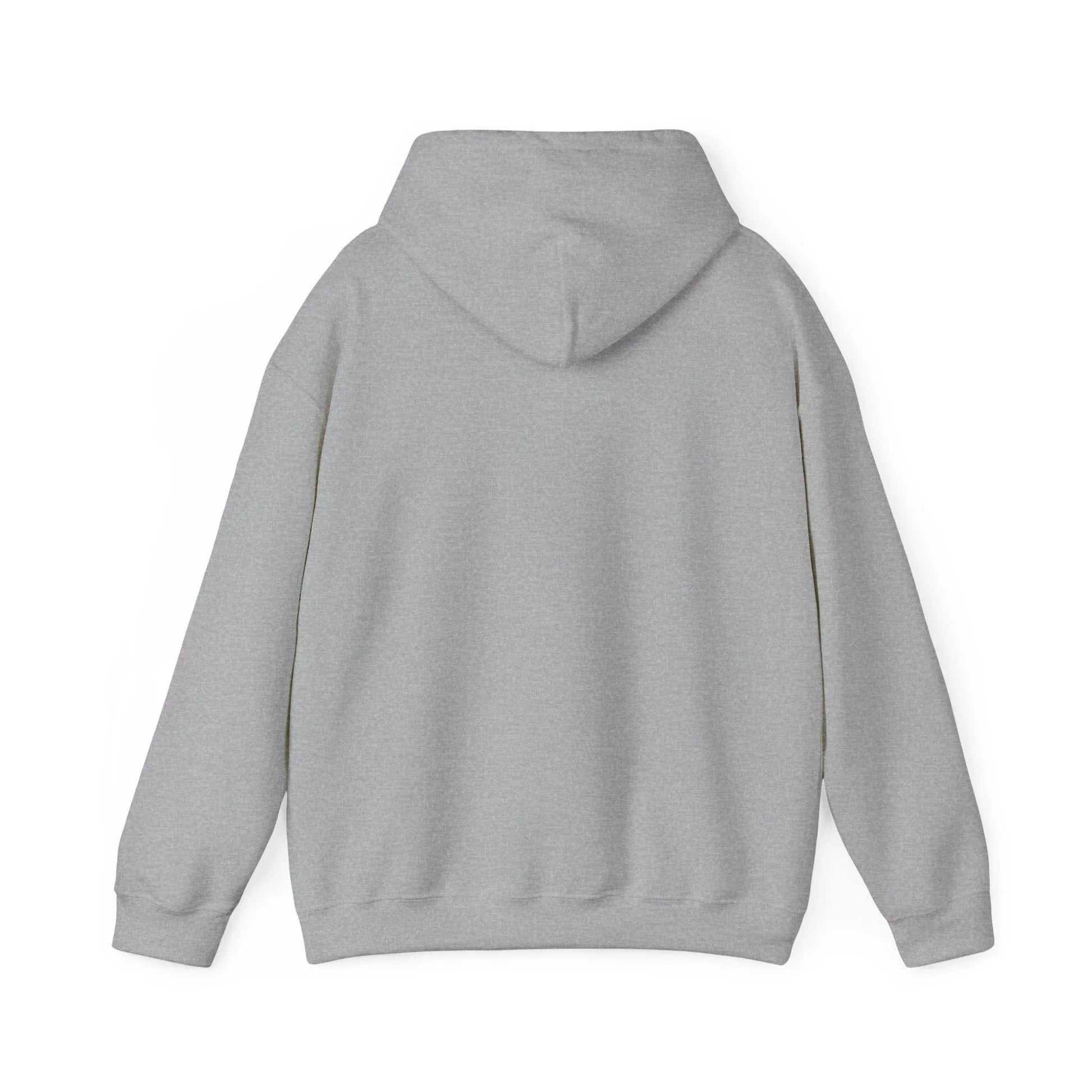 Rabbit Streetwear Hoodie — 'Puerto Rico' Sweater Graphic Pullover Printify