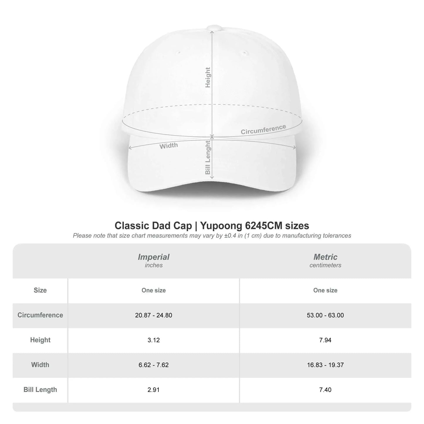Do Not Disturb Dad Cap — Embroidered Minimalist Hat