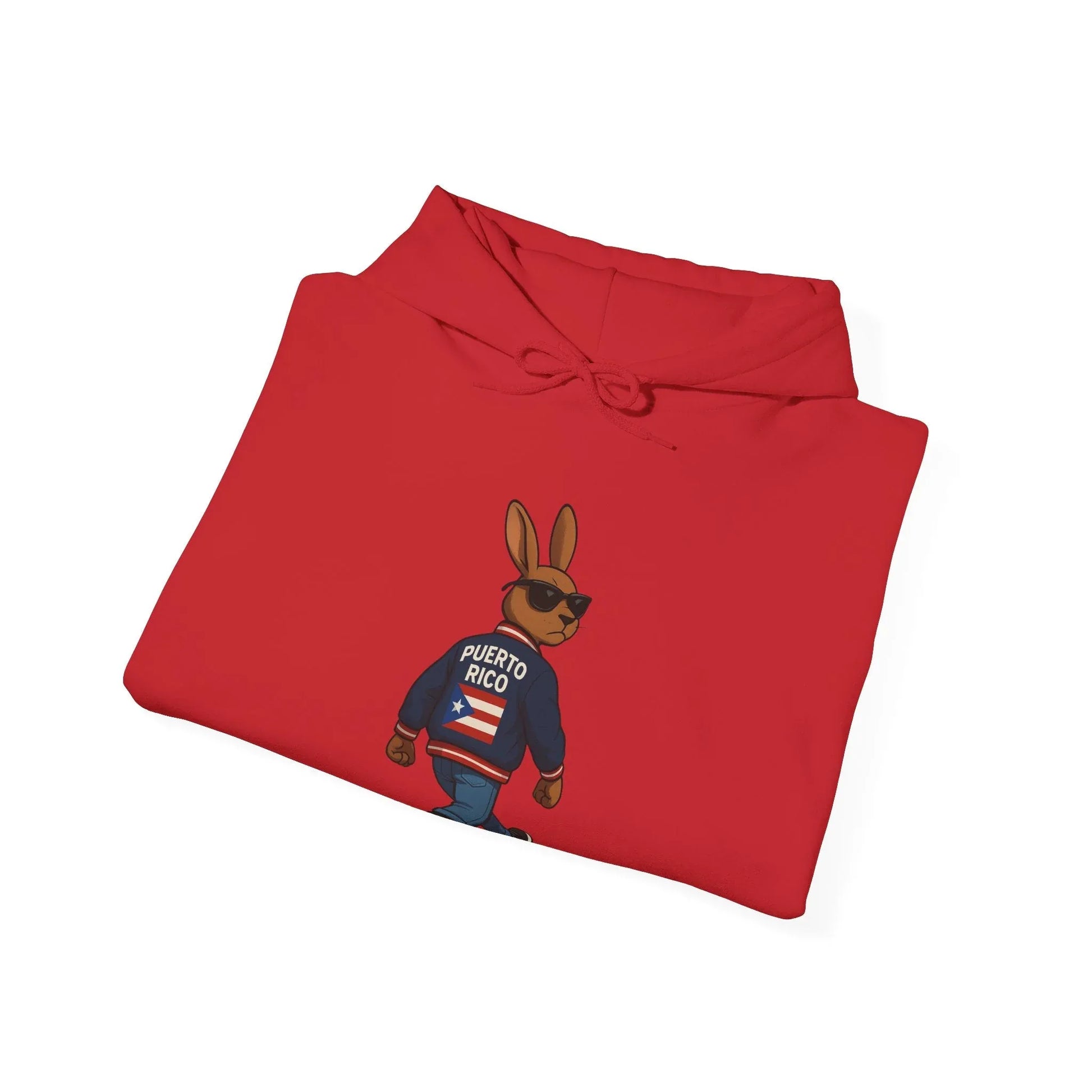 Rabbit Streetwear Hoodie — 'Puerto Rico' Sweater Graphic Pullover Printify