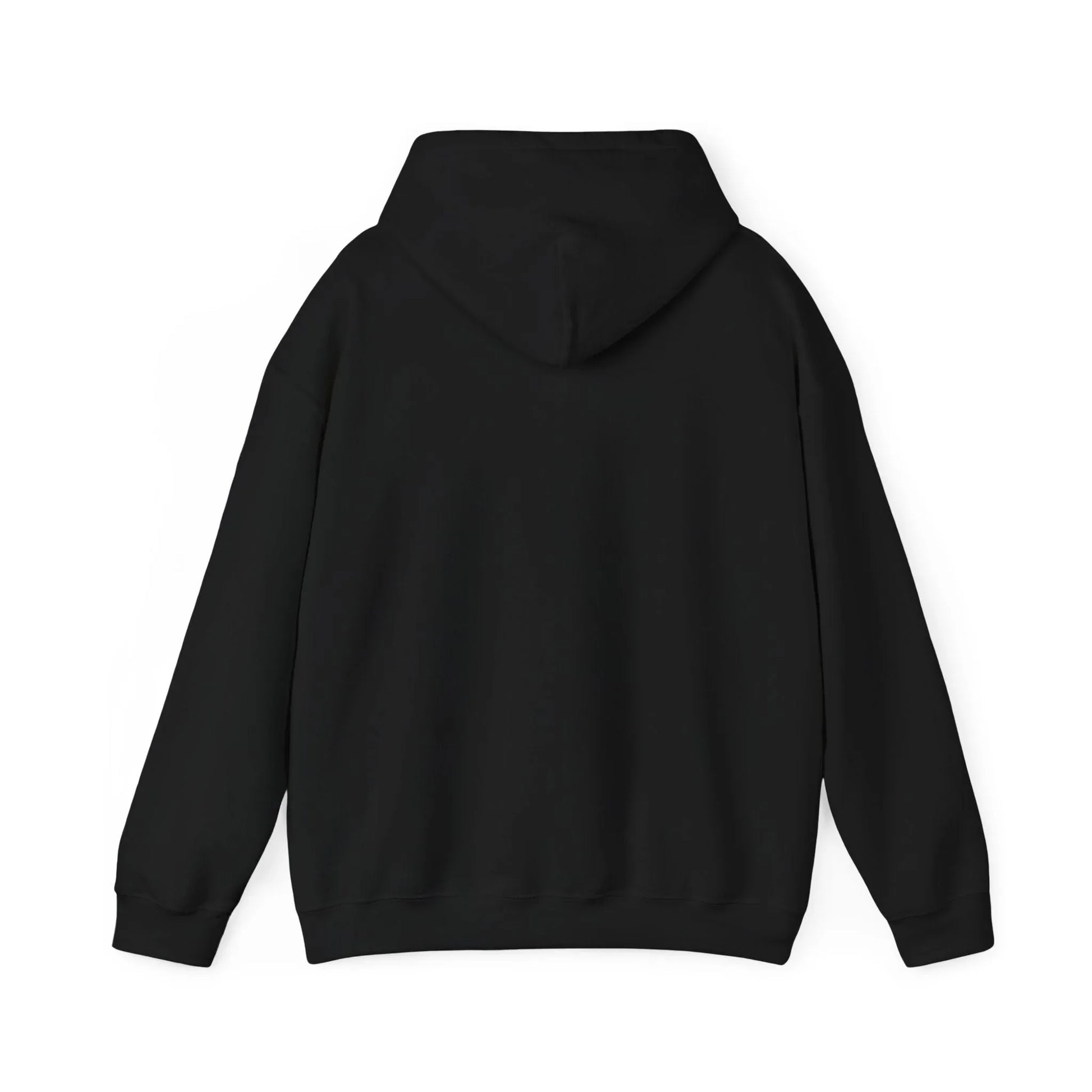 Rabbit Streetwear Hoodie — 'Puerto Rico' Sweater Graphic Pullover Printify