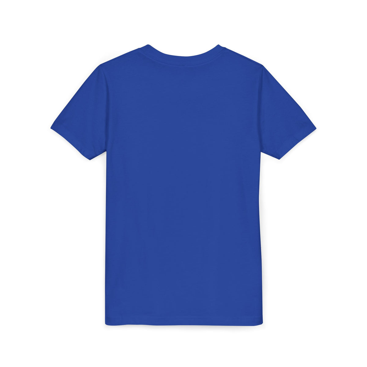 True Royal blue Dear Santa I Can Explain kids Christmas t-shirt, plain back view