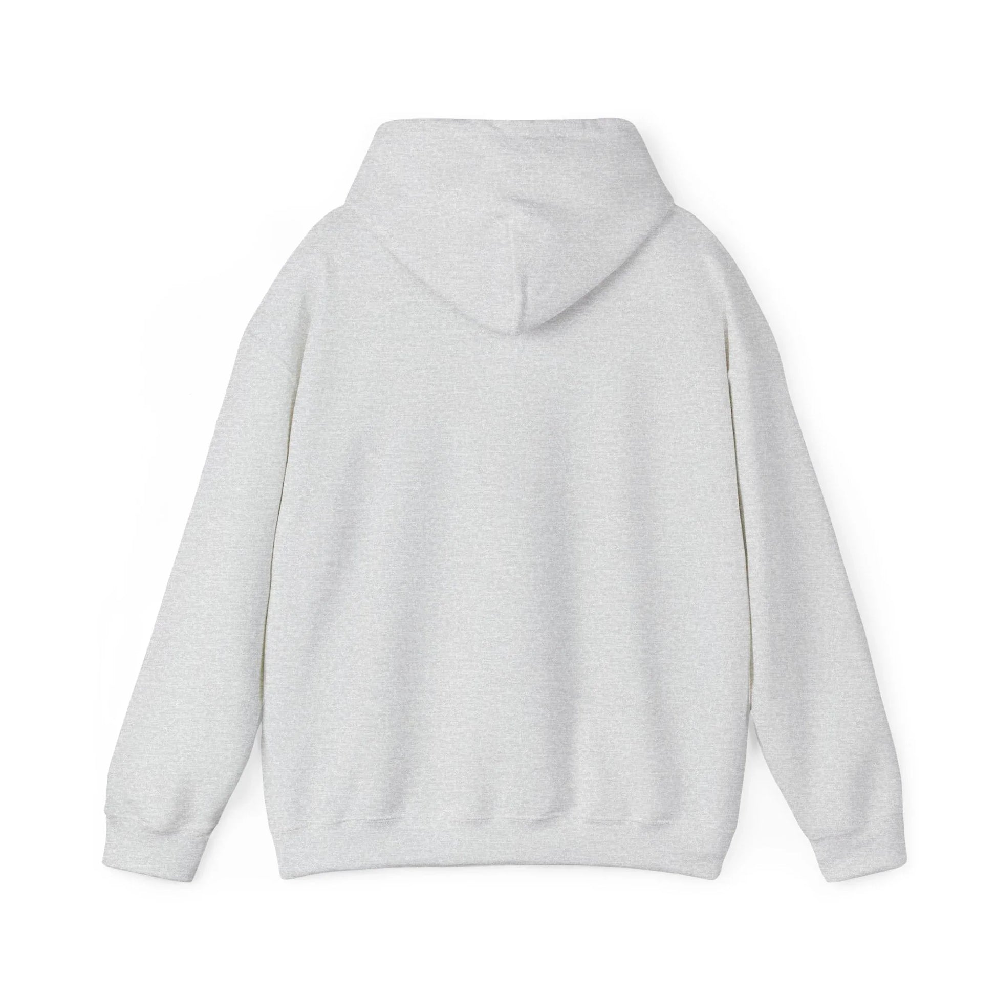 Rabbit Streetwear Hoodie — 'Puerto Rico' Sweater Graphic Pullover Printify