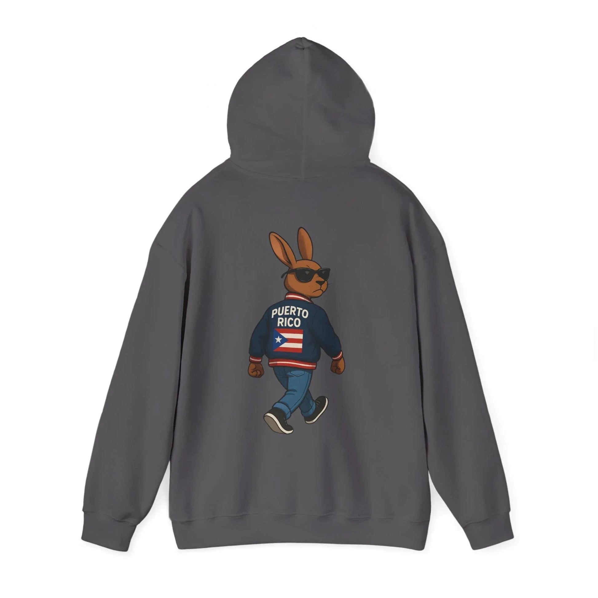 Puerto Rico Bunny Hoodie — Cool Cartoon Puerto Rican Flag Sweatshirt Printify