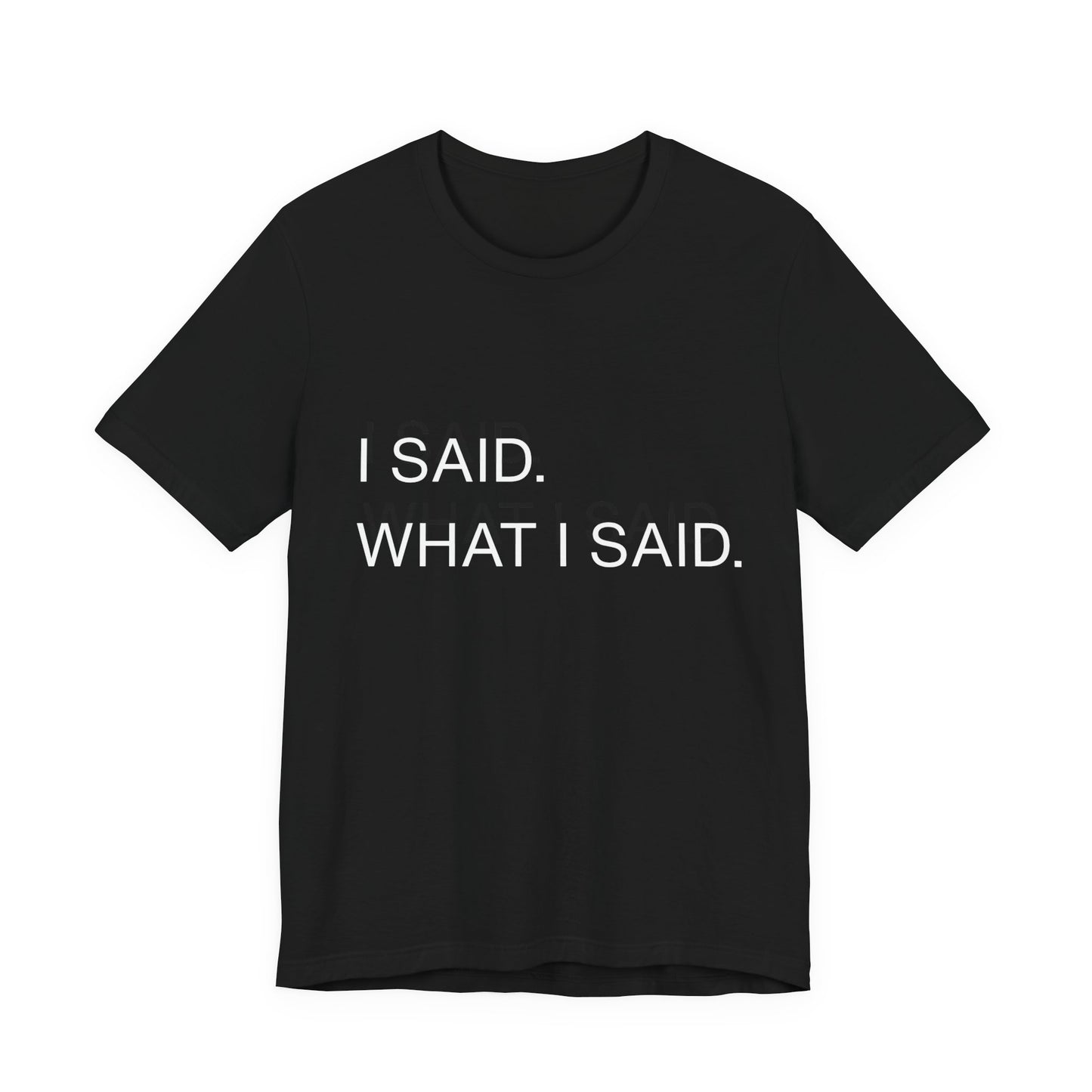 "I Said What I Said" graphic tee in Black – unbothered attitude bold statement streetwear tee | Leela's Ink


