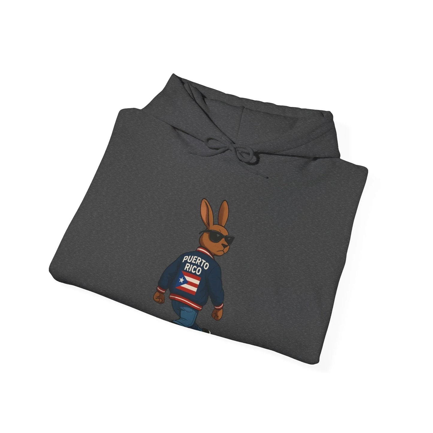 Rabbit Streetwear Hoodie — 'Puerto Rico' Sweater Graphic Pullover Printify