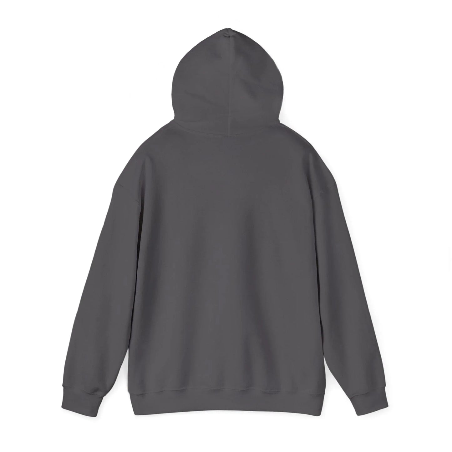 Rabbit Streetwear Hoodie — 'Puerto Rico' Sweater Graphic Pullover Printify