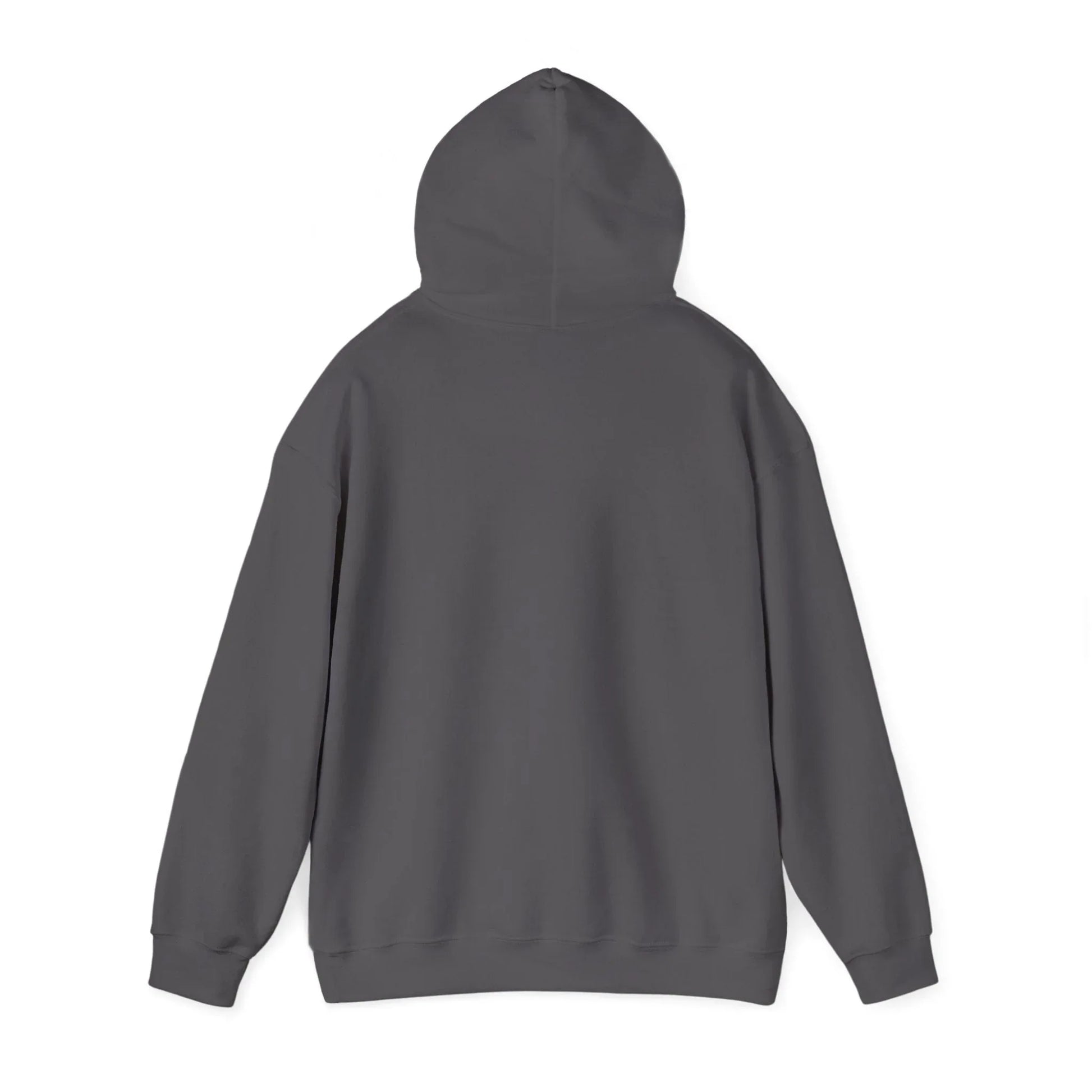 Rabbit Streetwear Hoodie — 'Puerto Rico' Sweater Graphic Pullover Printify