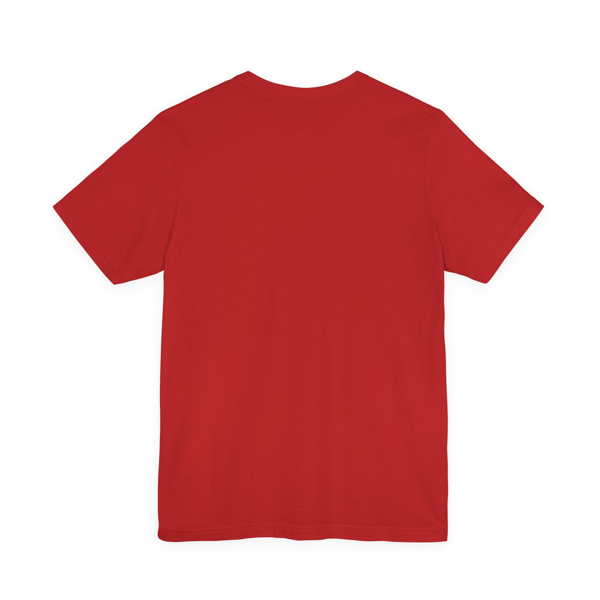 Red Dear Santa I Can Explain Christmas t-shirt, plain back view