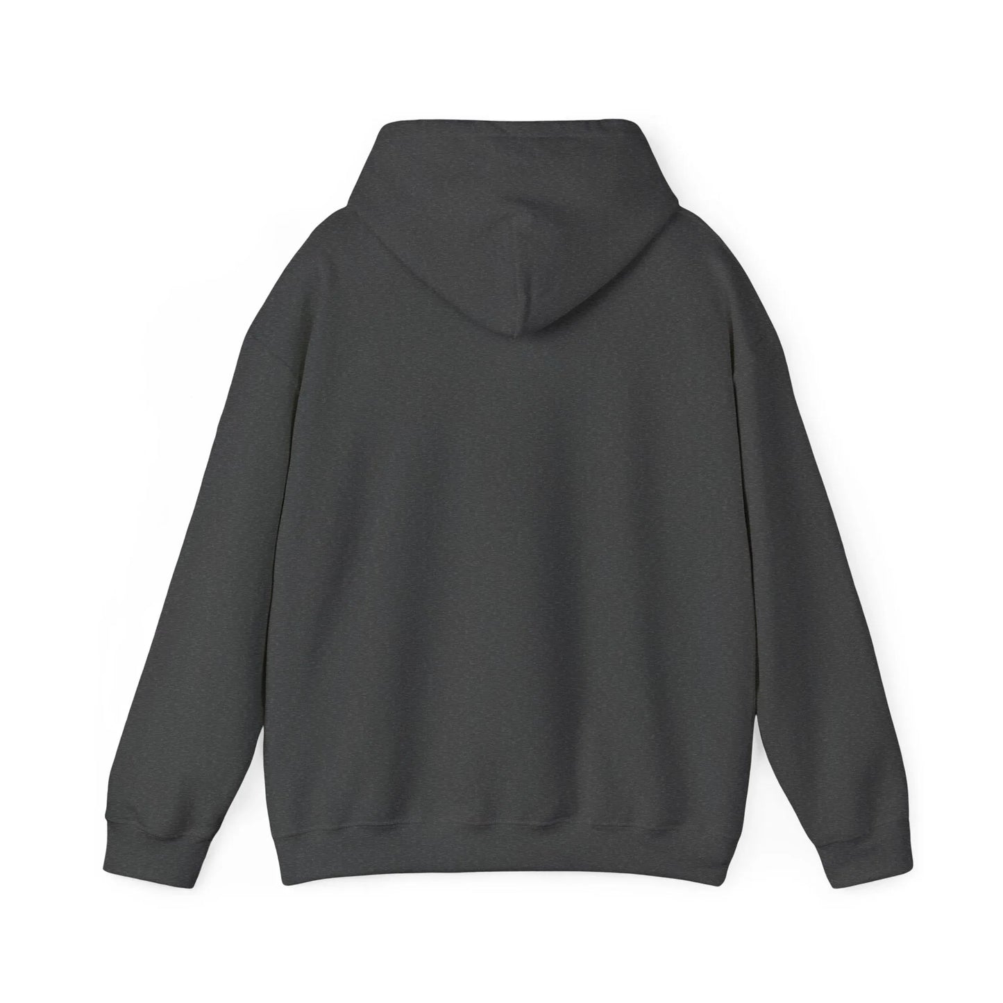 Rabbit Streetwear Hoodie — 'Puerto Rico' Sweater Graphic Pullover Printify