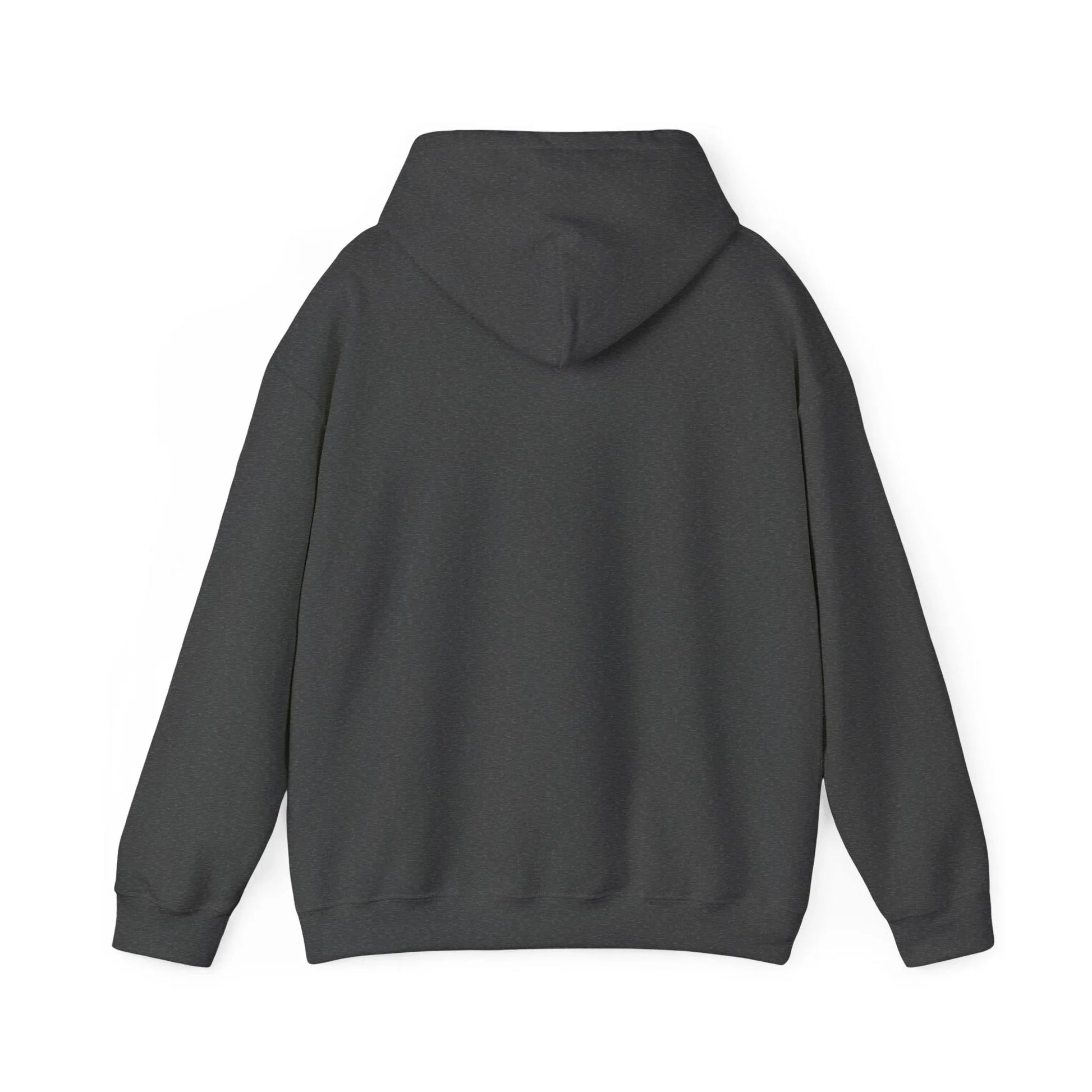 Rabbit Streetwear Hoodie — 'Puerto Rico' Sweater Graphic Pullover Printify