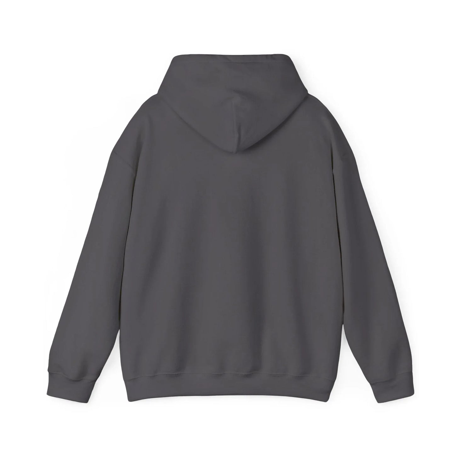 Rabbit Streetwear Hoodie — 'Puerto Rico' Sweater Graphic Pullover Printify