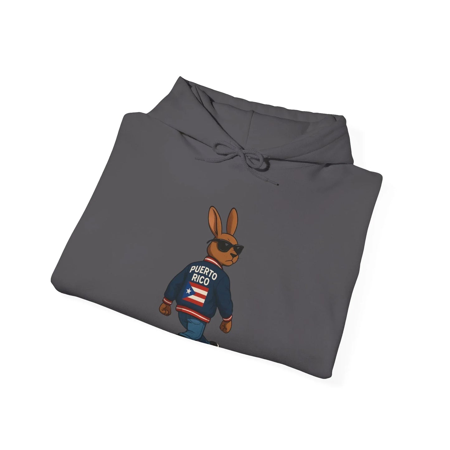 Rabbit Streetwear Hoodie — 'Puerto Rico' Sweater Graphic Pullover Printify