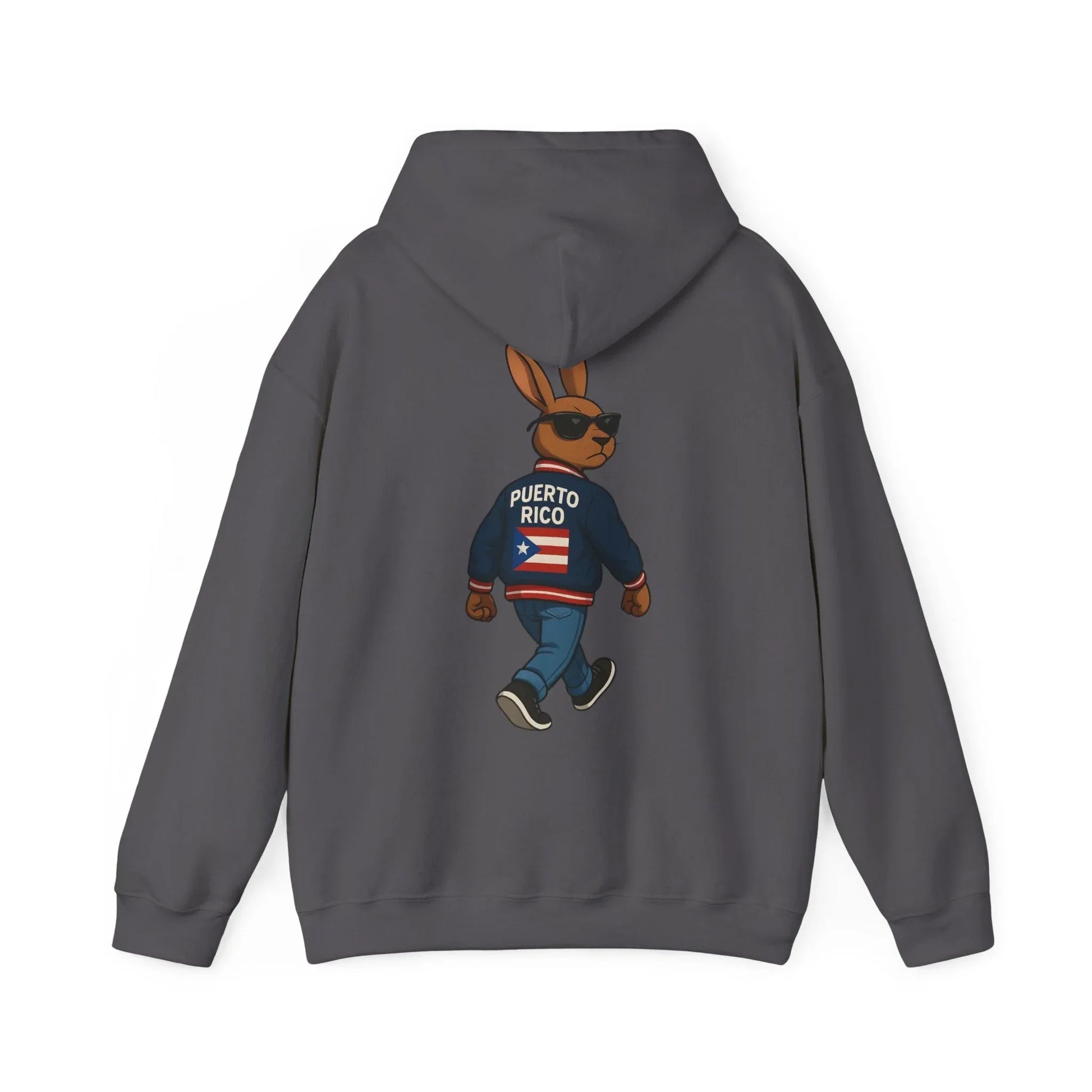 Puerto Rico Bunny Hoodie — Cool Cartoon Puerto Rican Flag Sweatshirt Printify