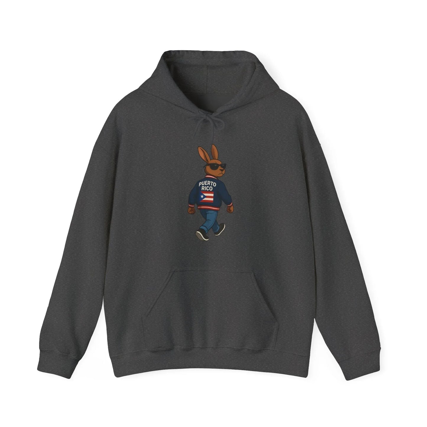 Rabbit Streetwear Hoodie — 'Puerto Rico' Sweater Graphic Pullover Printify