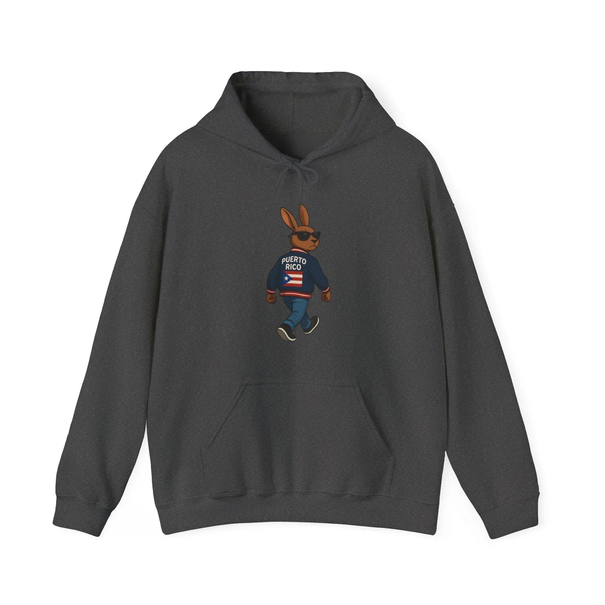 Rabbit Streetwear Hoodie — 'Puerto Rico' Sweater Graphic Pullover Printify