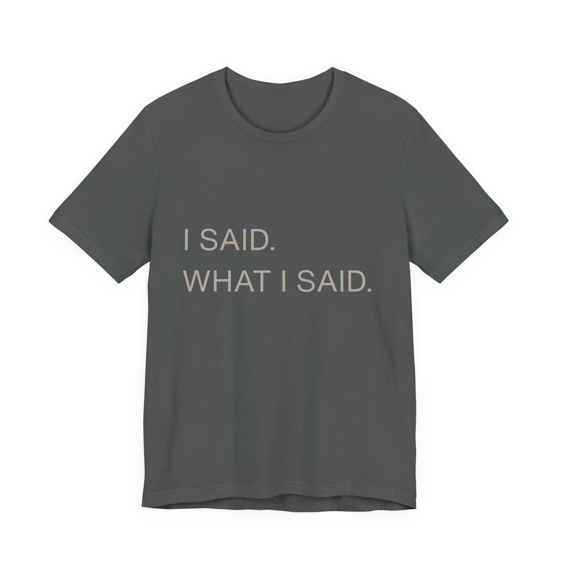 "I Said What I Said" graphic tee in Asphalt – bold statement sarcastic streetwear tee unisex relaxed fit | Leela's Ink


