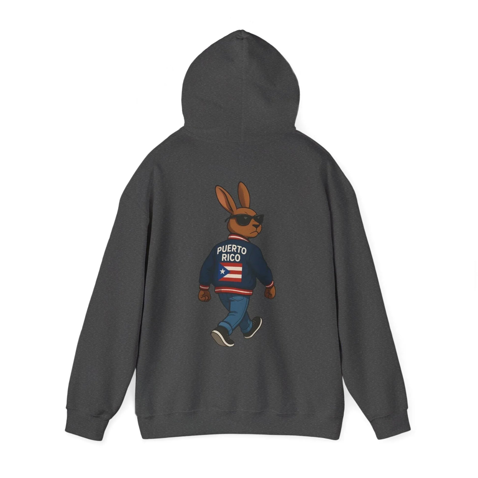 Puerto Rico Bunny Hoodie — Cool Cartoon Puerto Rican Flag Sweatshirt Printify