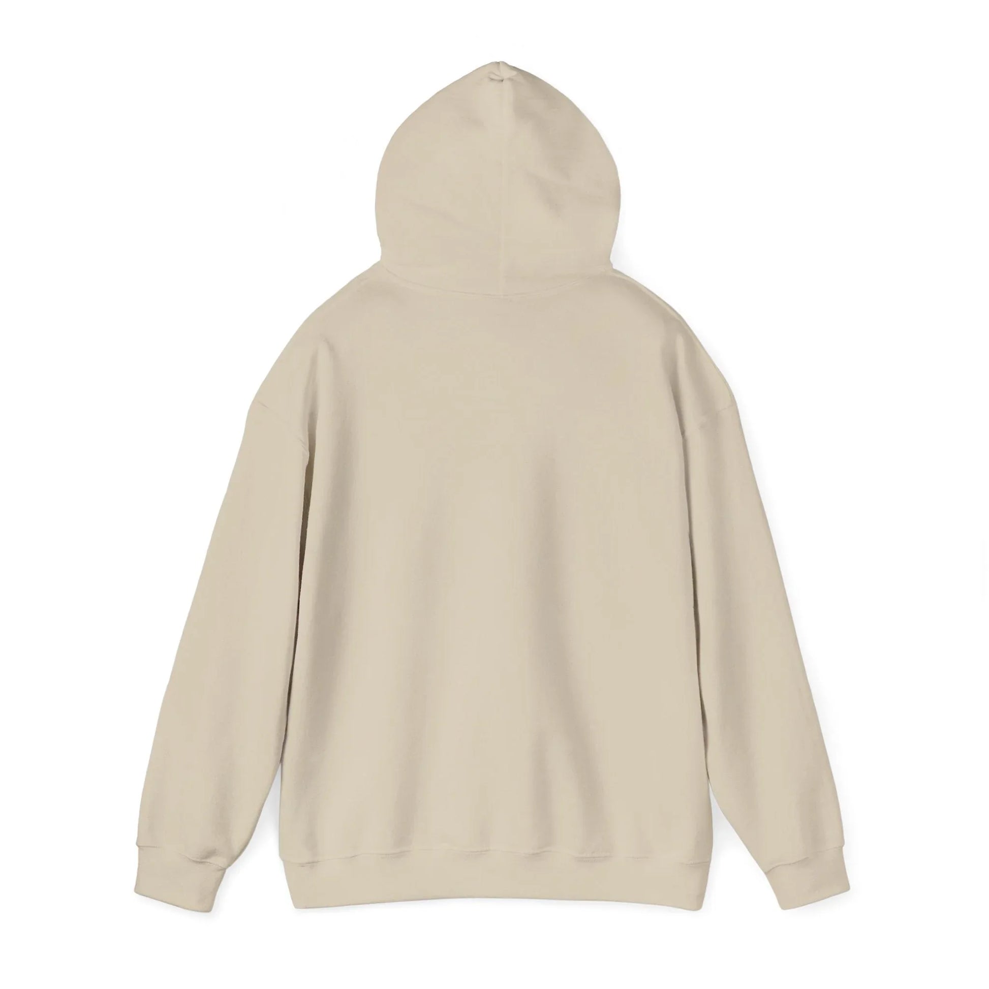 Rabbit Streetwear Hoodie — 'Puerto Rico' Sweater Graphic Pullover Printify