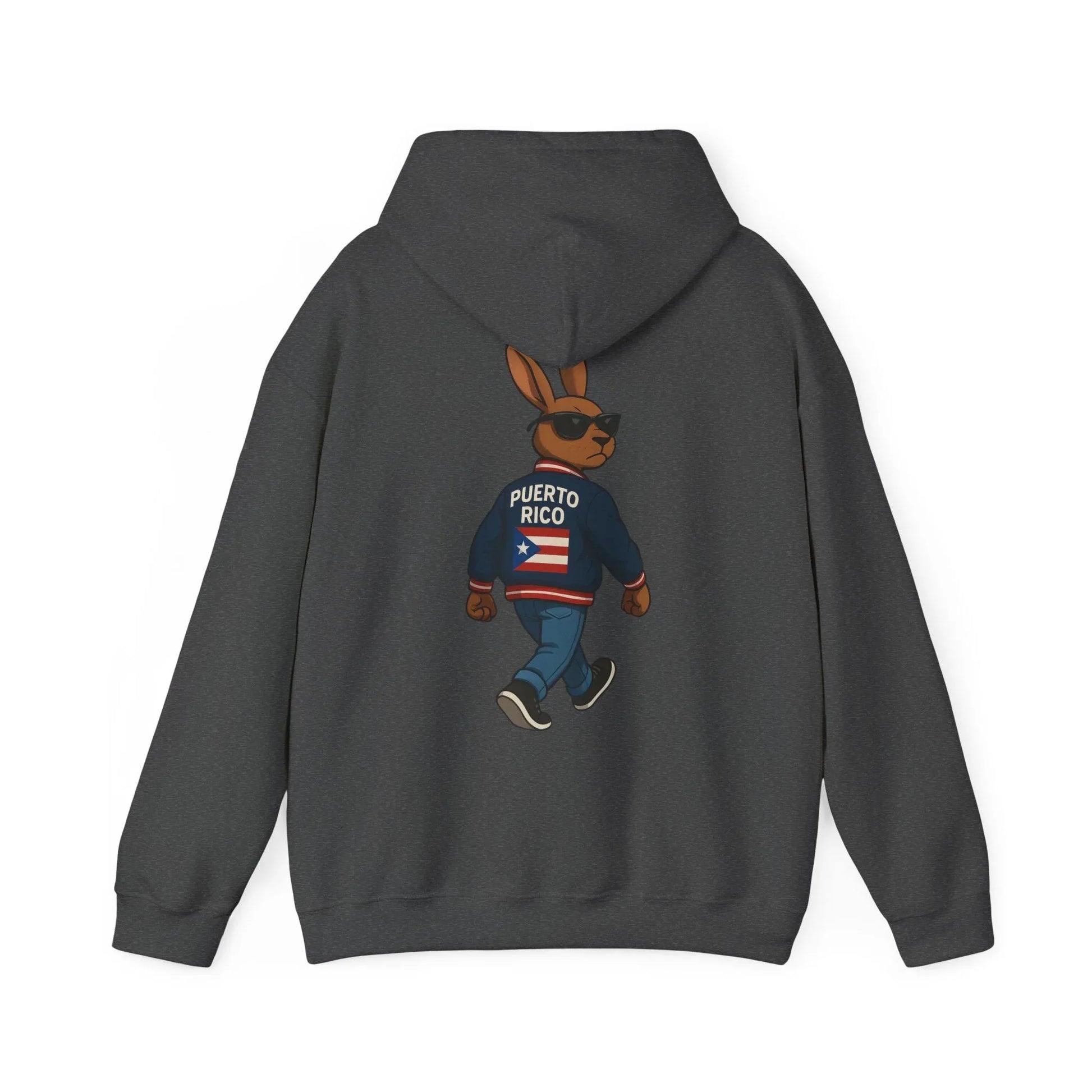 Puerto Rico Bunny Hoodie — Cool Cartoon Puerto Rican Flag Sweatshirt Printify