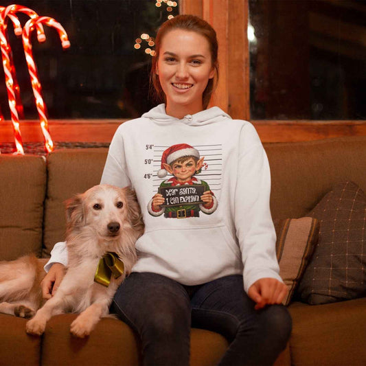 “Dear Santa, I Can Explain” Funny Christmas Hoodie